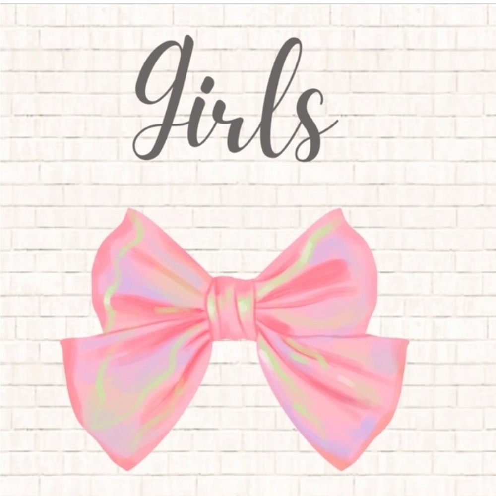 Baby Girl Clothes Bundle Over 50 Pieces